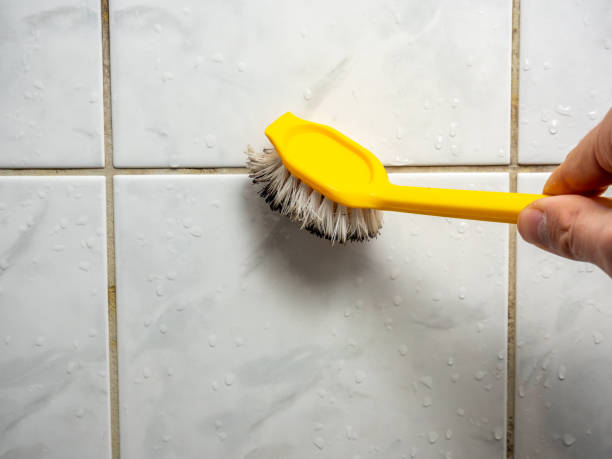 Best Mold Removal Process  in Lake Panasoffkee, FL