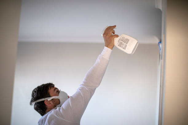 Best Same-Day Mold Removal  in Lake Panasoffkee, FL