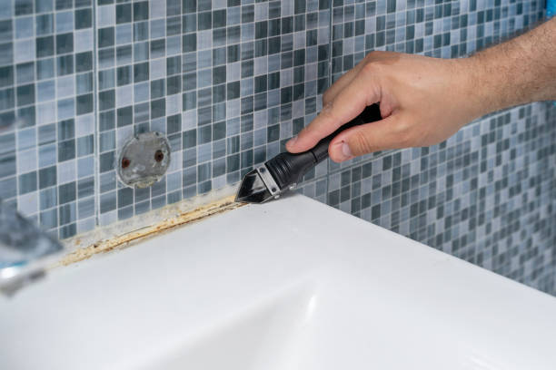 Best Mold Damage Repair  in Lake Panasoffkee, FL