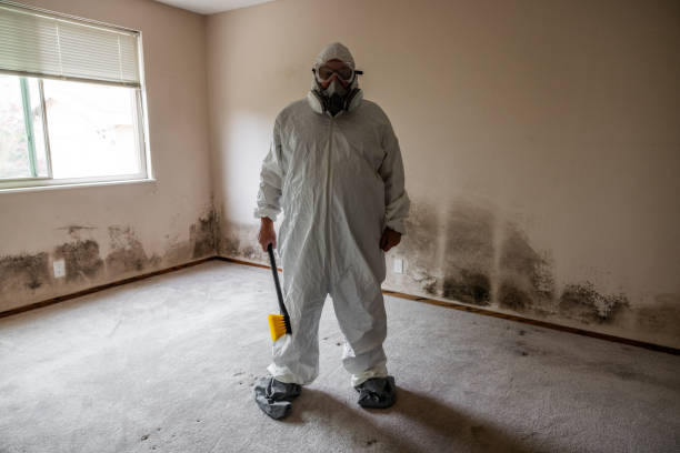 Home Mold Removal in Lake Panasoffkee, FL